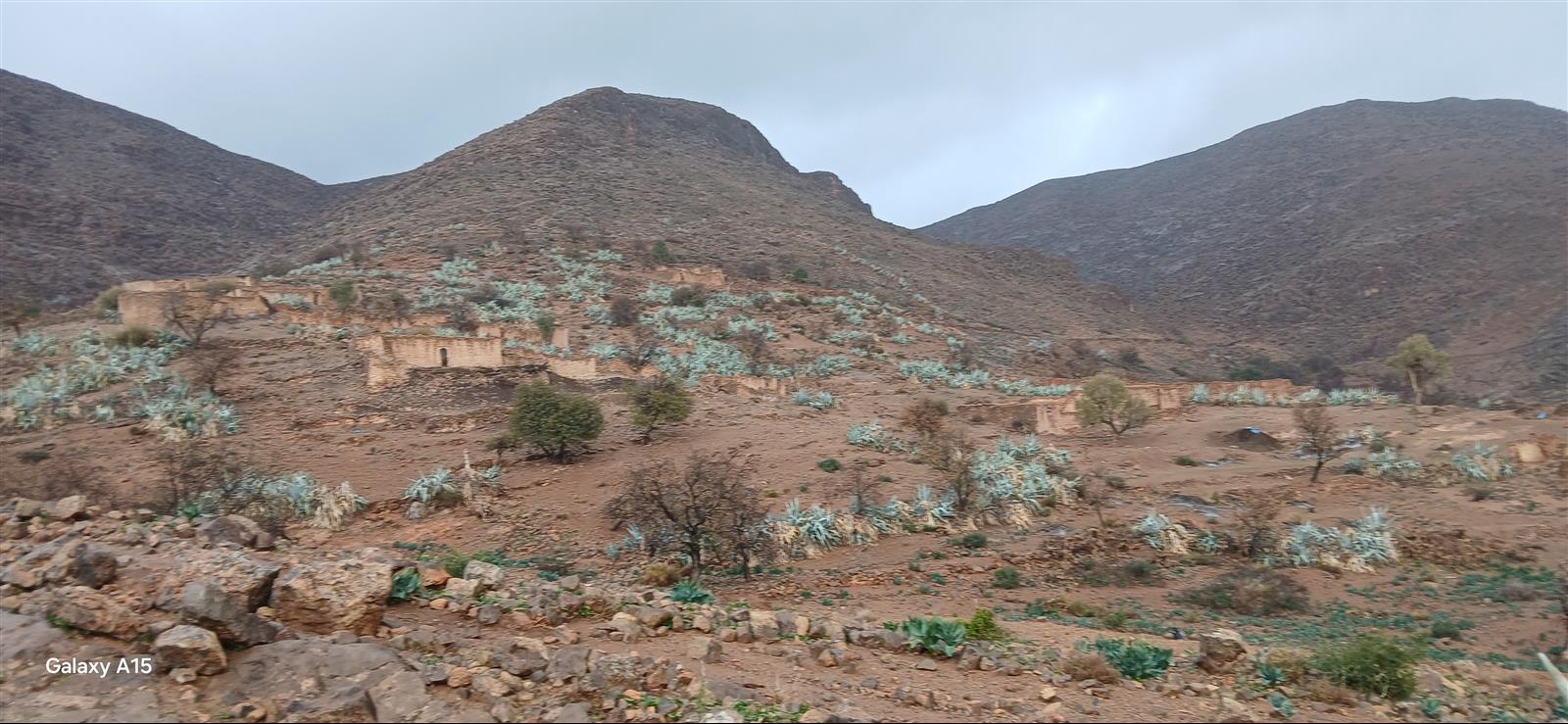        صور من دوار بني موسي لعطاش
          2019.03.03     